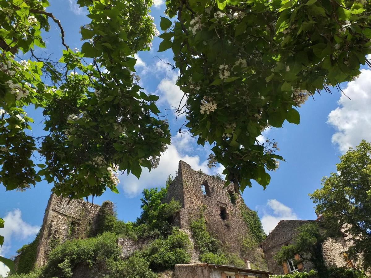 Les Pentes Du Chateau De Retourtour Lamastre Dış mekan fotoğraf